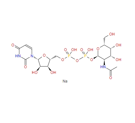 尿嘧啶核苷-5′-二磷酸-N-乙酰氨基半乳糖二鈉鹽CAS:108320-87-2