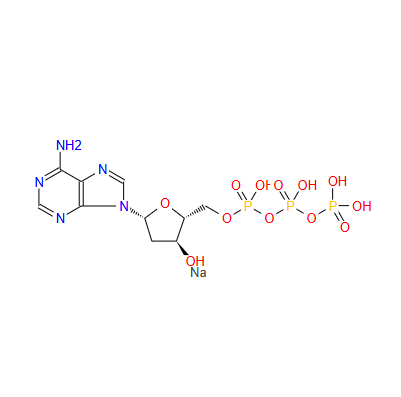 2'-脫氧腺苷-5'-三磷酸三鈉鹽(DATP.NA3)CAS: 54680-12-5